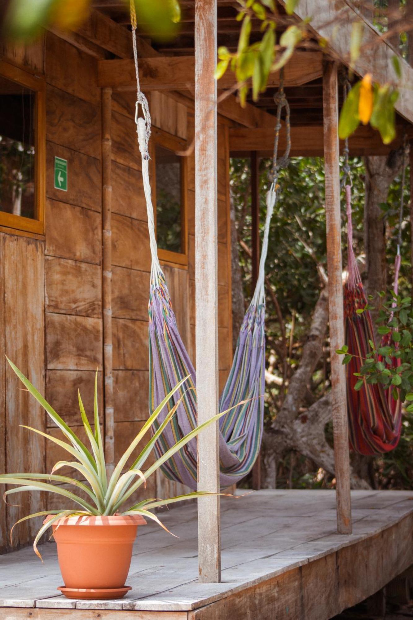 Santa Lova Eco-Hostel Isla Tintipan Tintipan Island Εξωτερικό φωτογραφία