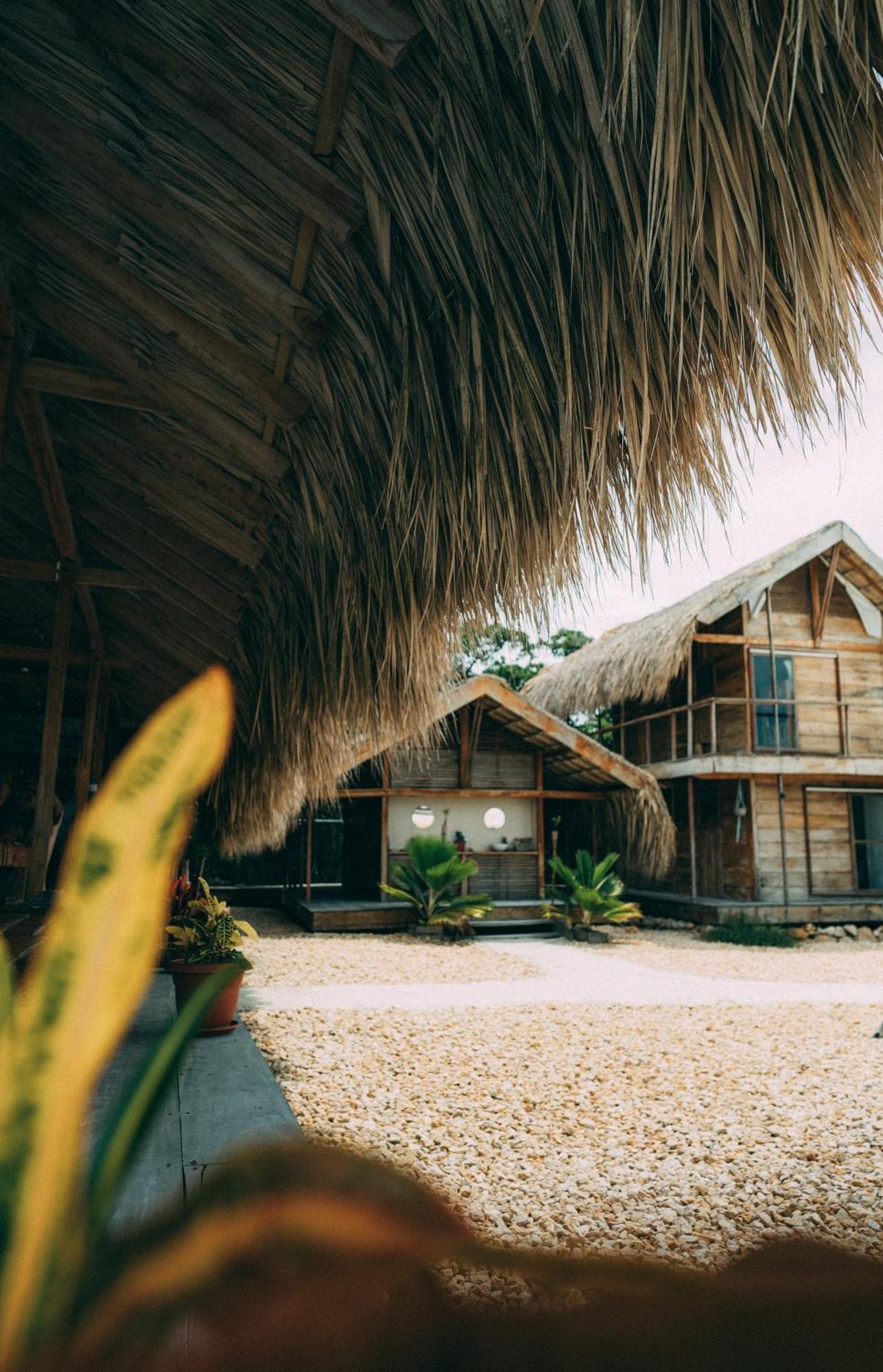 Santa Lova Eco-Hostel Isla Tintipan Tintipan Island Εξωτερικό φωτογραφία