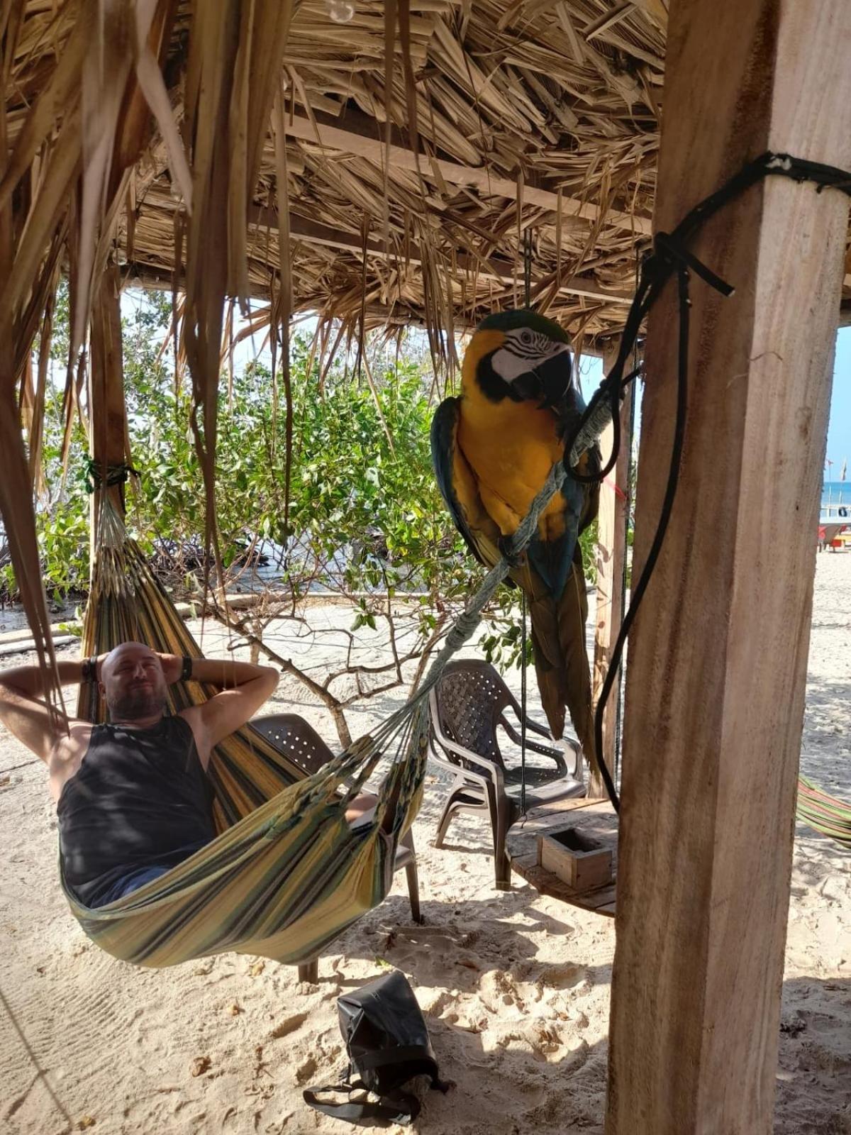 Santa Lova Eco-Hostel Isla Tintipan Tintipan Island Εξωτερικό φωτογραφία
